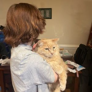 Meet your Posher, Sonny